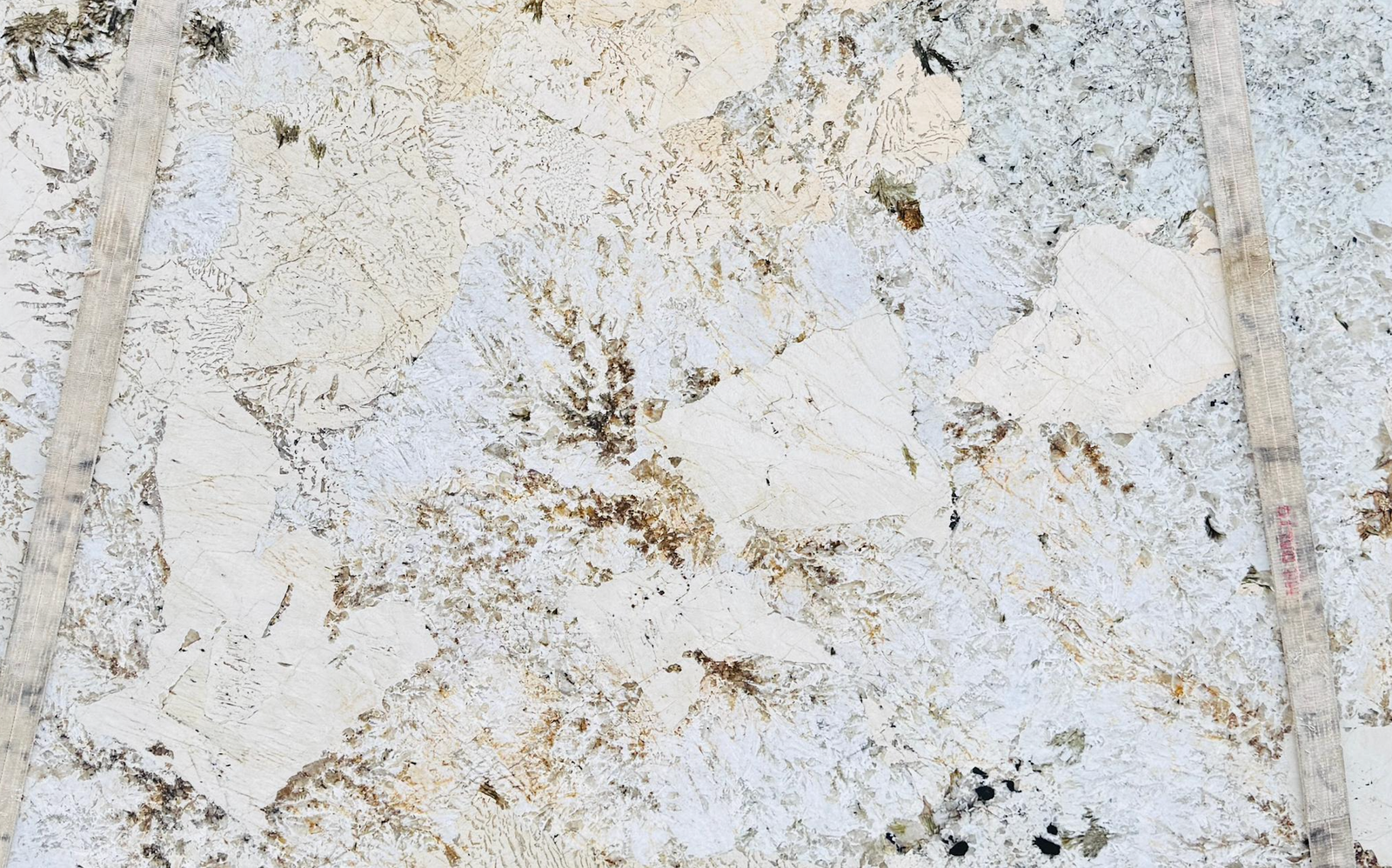 Alpinus